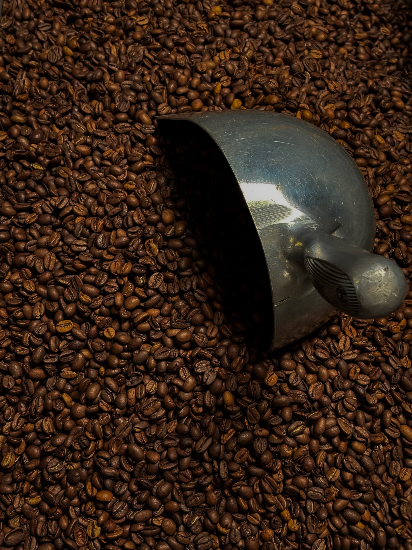 Grains de café en cours de torréfaction artisanale